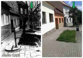 Poslední hrušně ze stromořadí na ulici Trnkova - strom před domem č. 24 zachycen při fotodokumentaci studní v 70. letech 20. století a v současnosti.